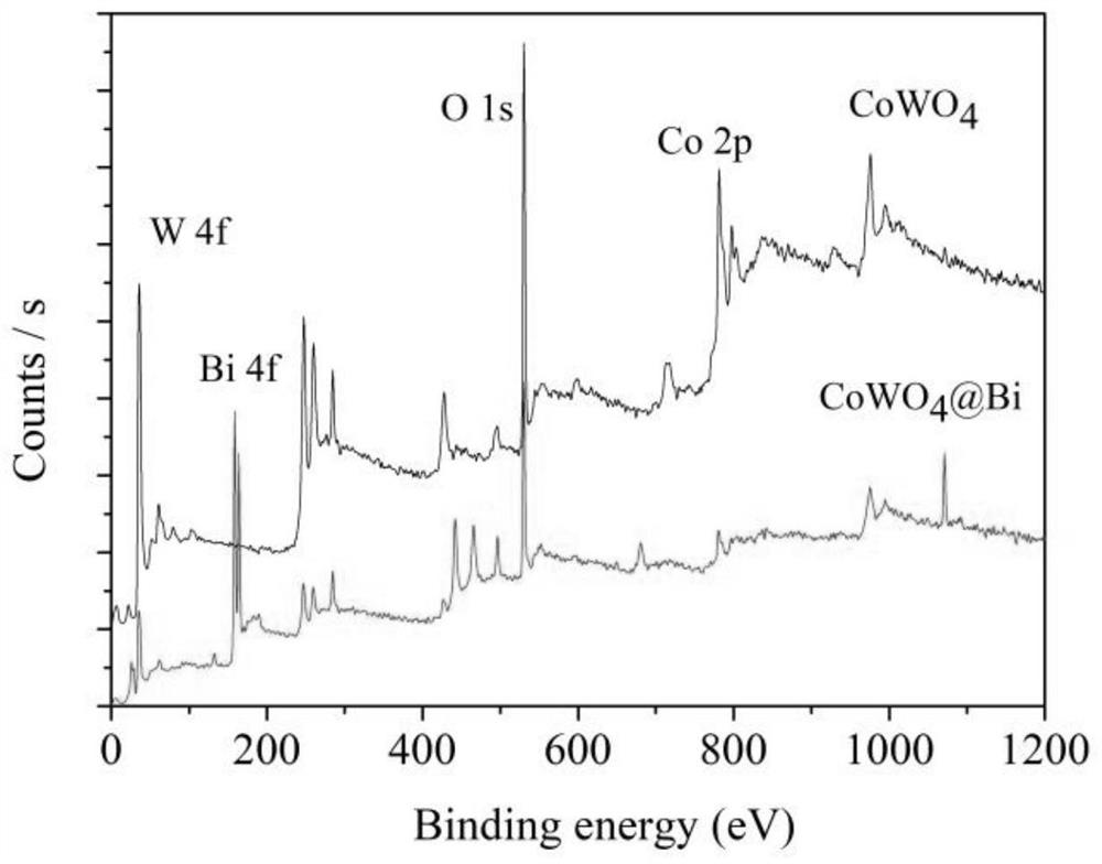 Cobalt tungstate/bismuth composite acoustic catalyst as well as preparation method and application thereof