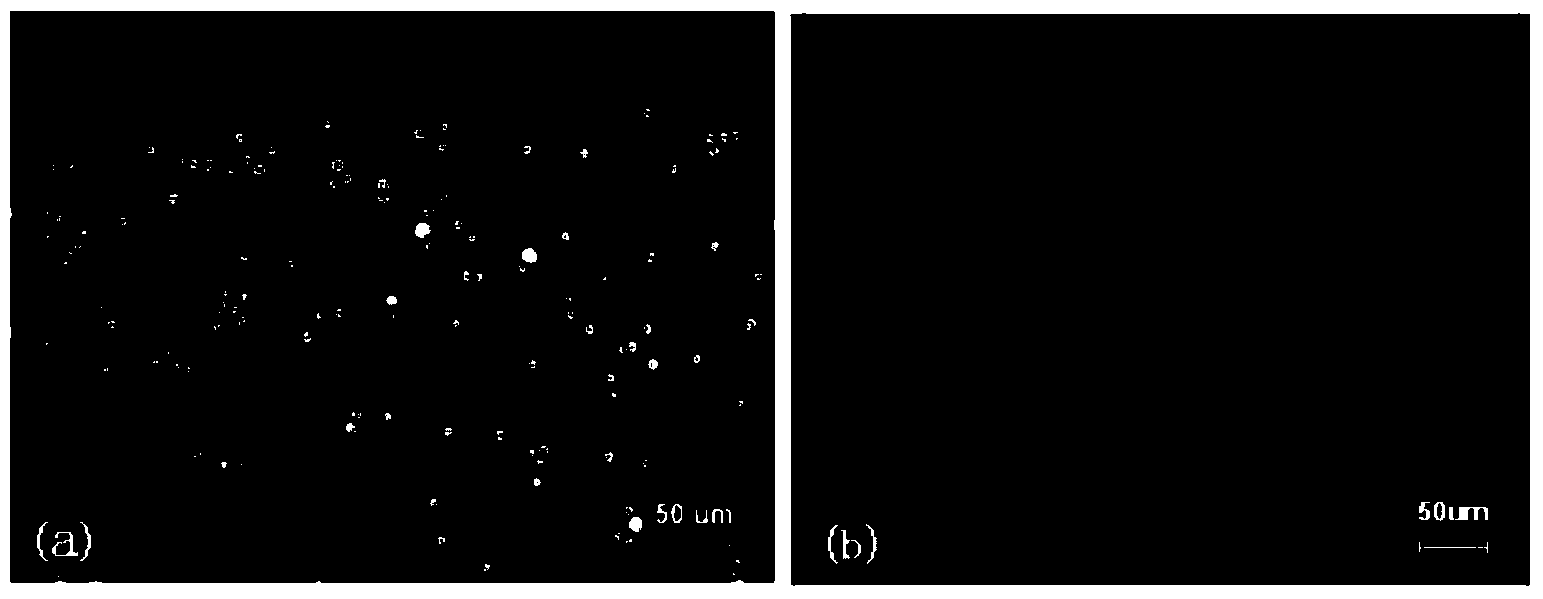 Method for preparing micro-flow chip