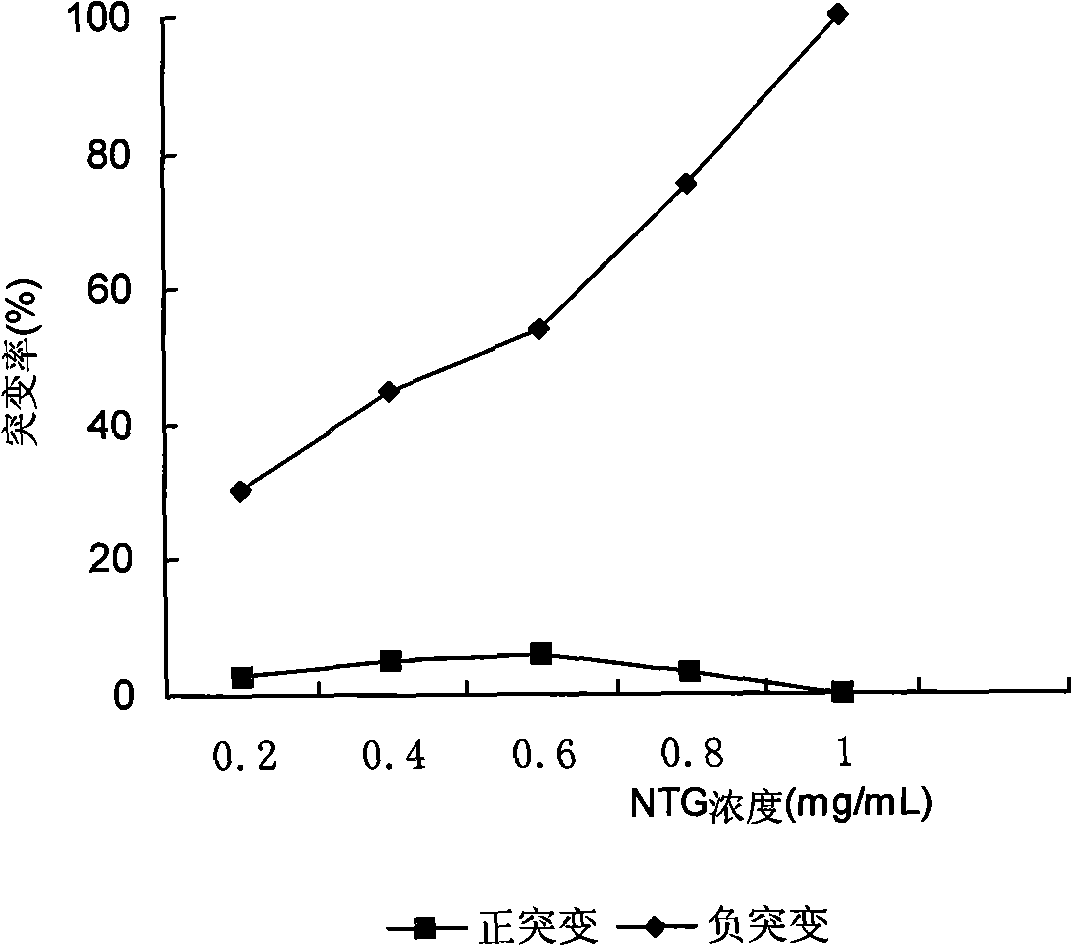 Saccharomyces cerevisiae mutant bacterial strain and use thereof in glutathion production by fermentation