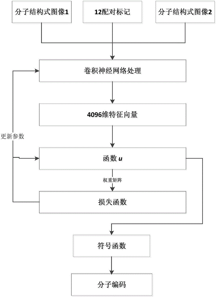 Ligand molecular fingerprint generation method based on deep Hash in drug screening