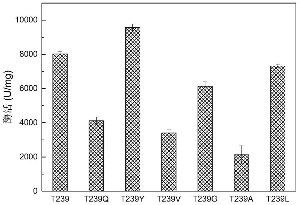 17[beta]-hydroxysteroid dehydrogenase mutant of mycobacteria and heterologous expression of mutant