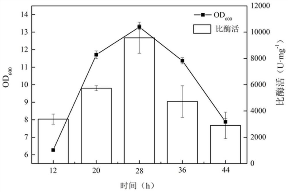 17[beta]-hydroxysteroid dehydrogenase mutant of mycobacteria and heterologous expression of mutant