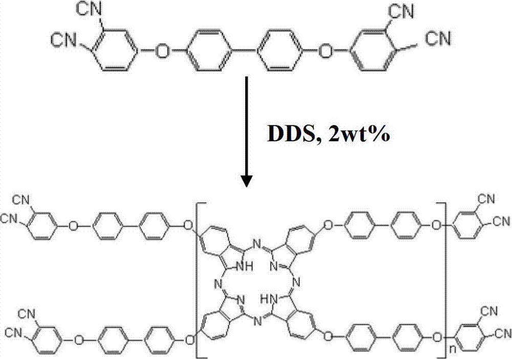 Polyaryl ether nitrile (PEN) and carbonyl iron powder (Fe(CO)5) composite magnetic material and preparation method thereof