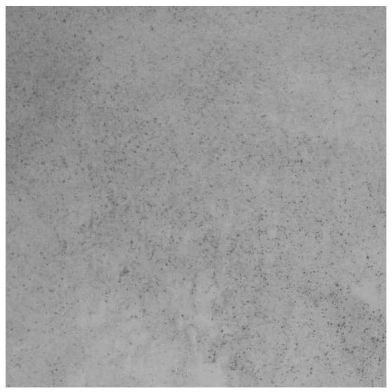 A kind of whole body effect dry grain inkjet imitation stone brick and its preparation method