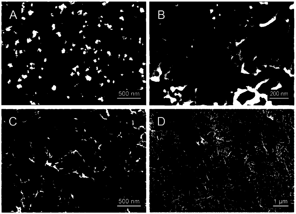 Gold nanowire modified titanium dioxide nano pillar array SERS substrate material as well as preparation method thereof and application thereof