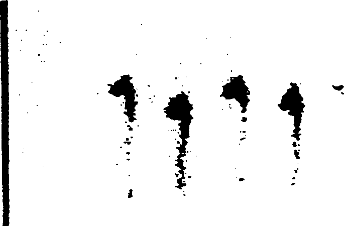 Technetium-99m labeled imaging agents