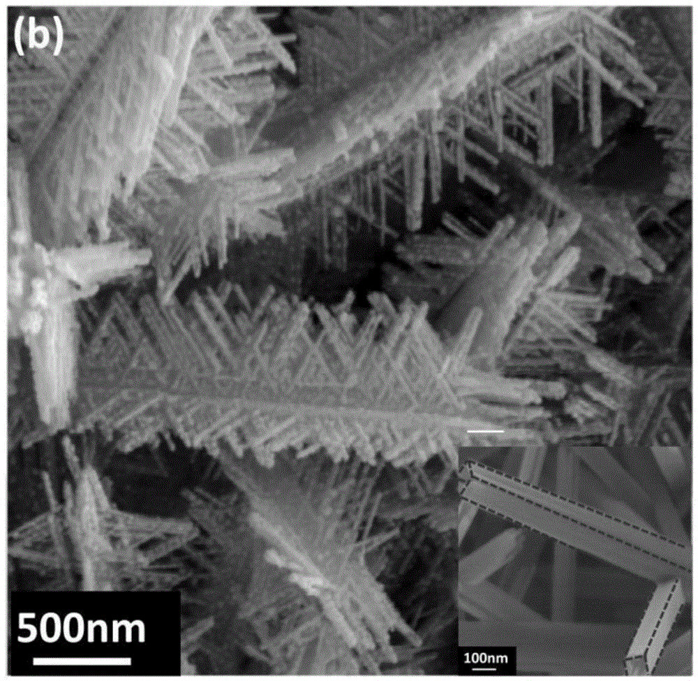 Manganese dioxide dendritic nano array electrode material and preparation method