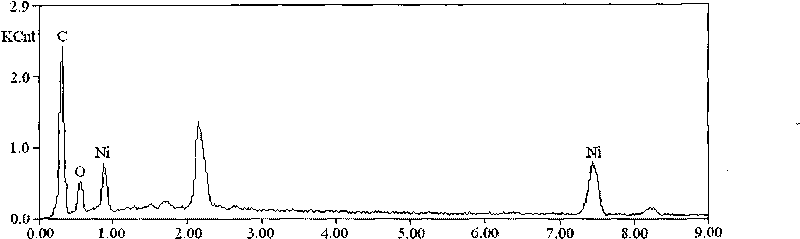 Method for preparing core-shell structure composite material by Gamma-ray irradiation