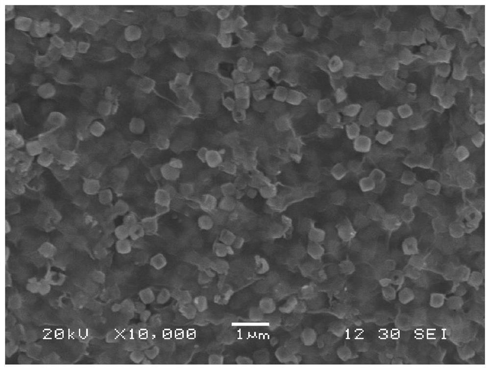 s@m  <sub>x</sub> sns  <sub>y</sub> @c Composite cathode active materials and their preparation and application in lithium-sulfur batteries