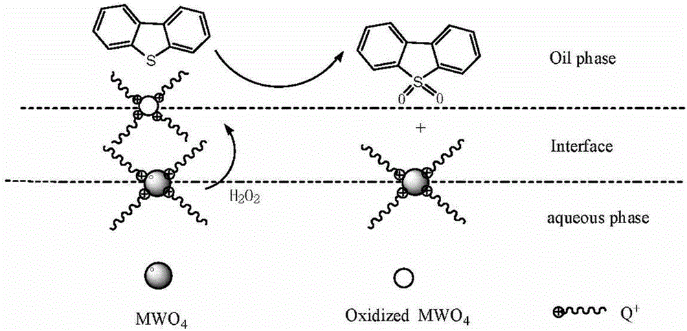 Method for removing sulfide in simulated oil through oxidation by using transition metal tungstate as catalyst