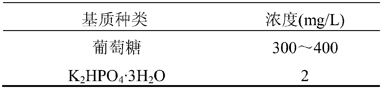 A device and method for enriching nitrite-denitrifying polysaccharide bacteria