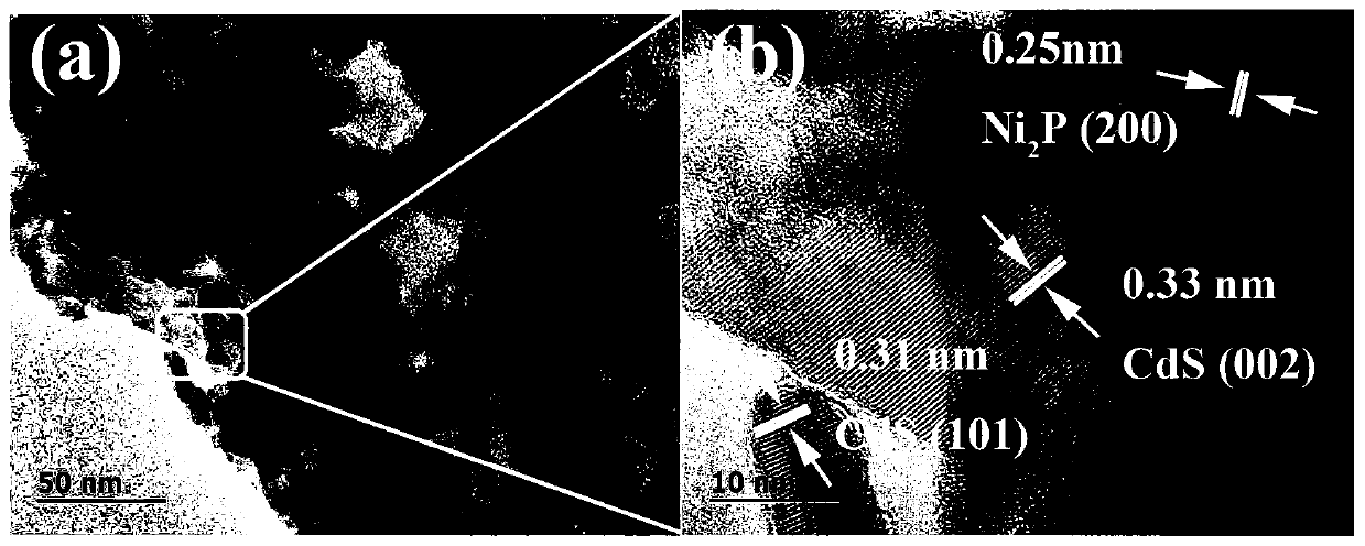 Preparation method of nickel phosphide cocatalyst by photodeposition on cadmium sulfide