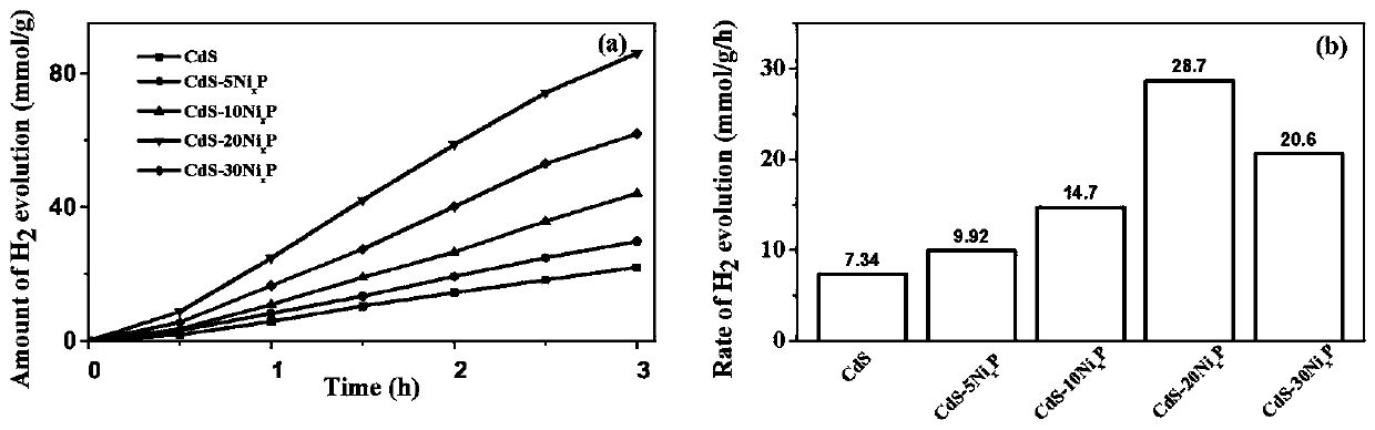 Preparation method of nickel phosphide cocatalyst by photodeposition on cadmium sulfide