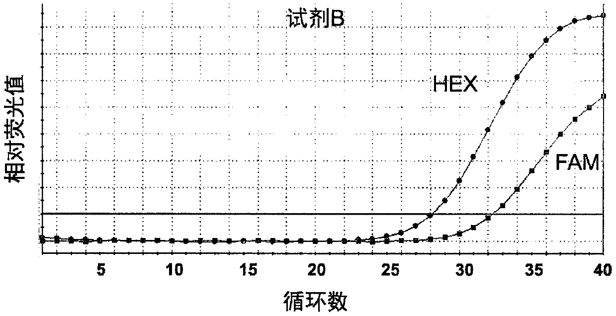 Primer, probe and kit for detecting cis-trans mutation of EGFR genes C797S and T790M