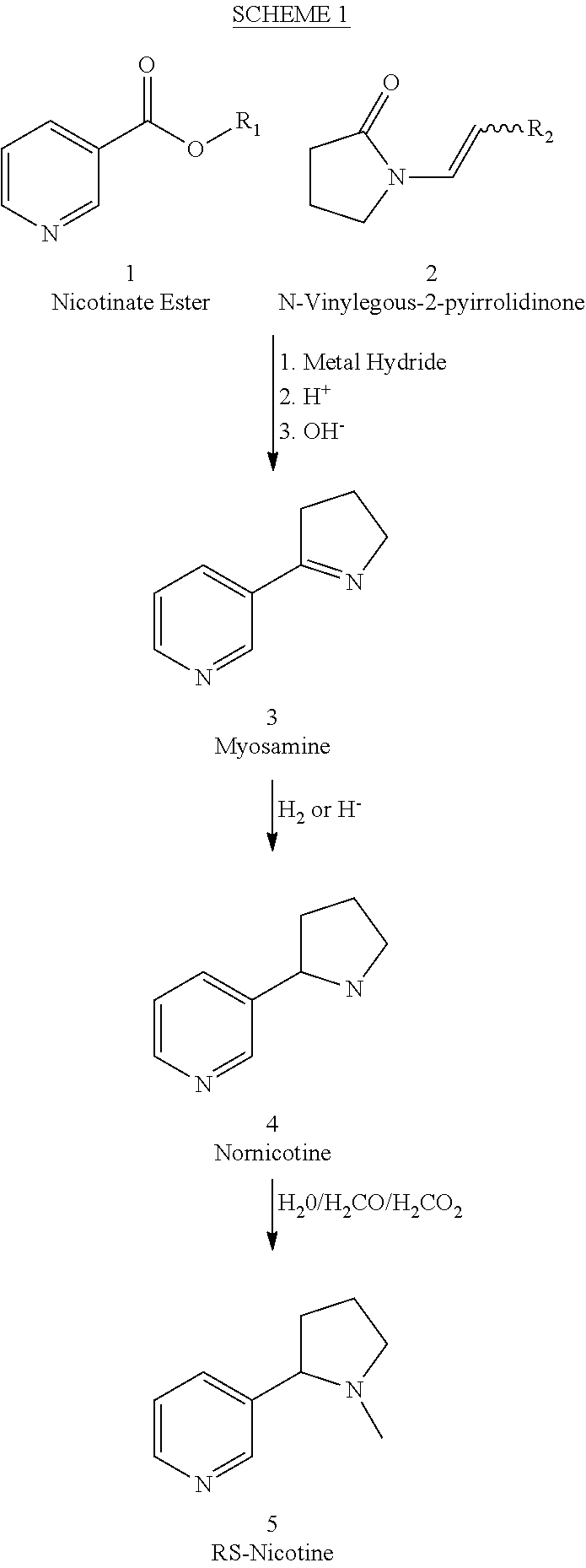 Process for the preparation of (R,S)-nicotine