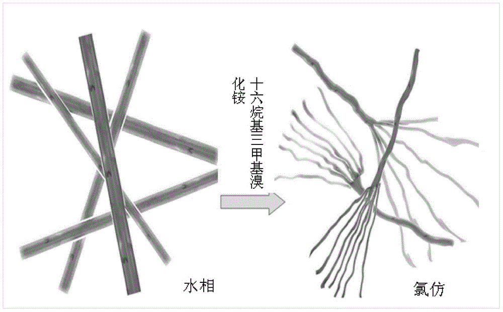 Organic phase cadmium sulfide/cadmium telluride nanocrystalline superstructure, preparation method and applications