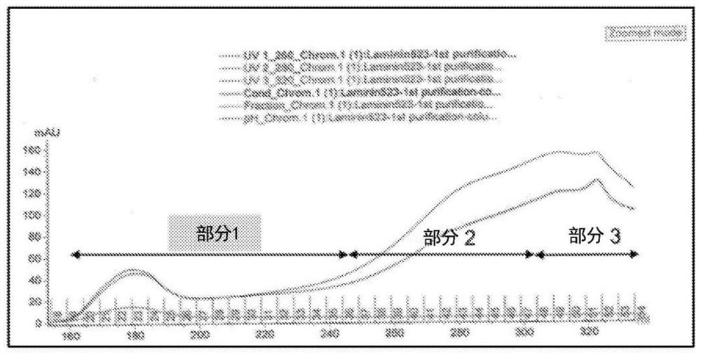 Systems and methods for producing retinal progenitors