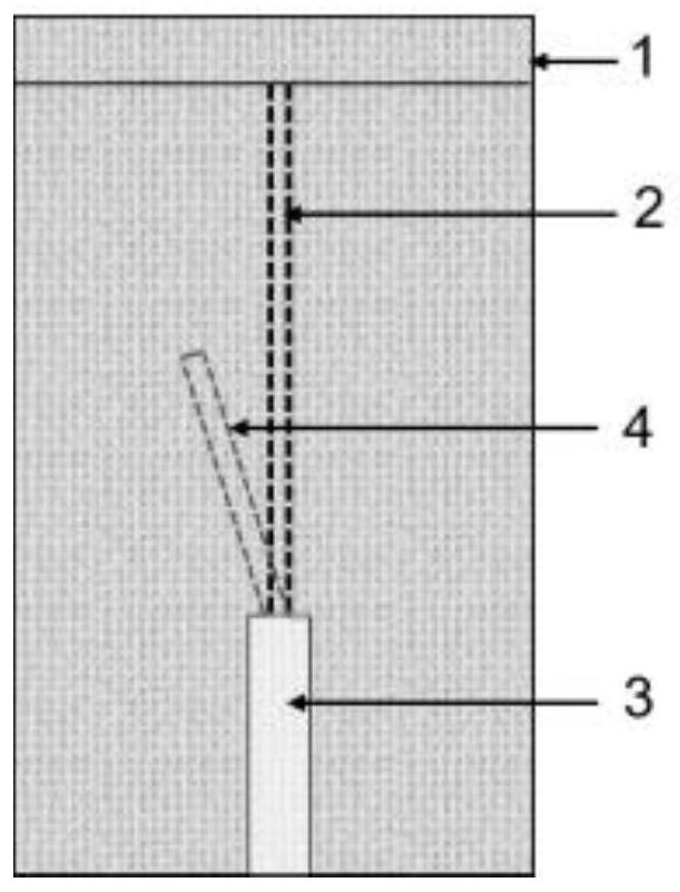 Plant root division device based on germination paper and plant root division culture method