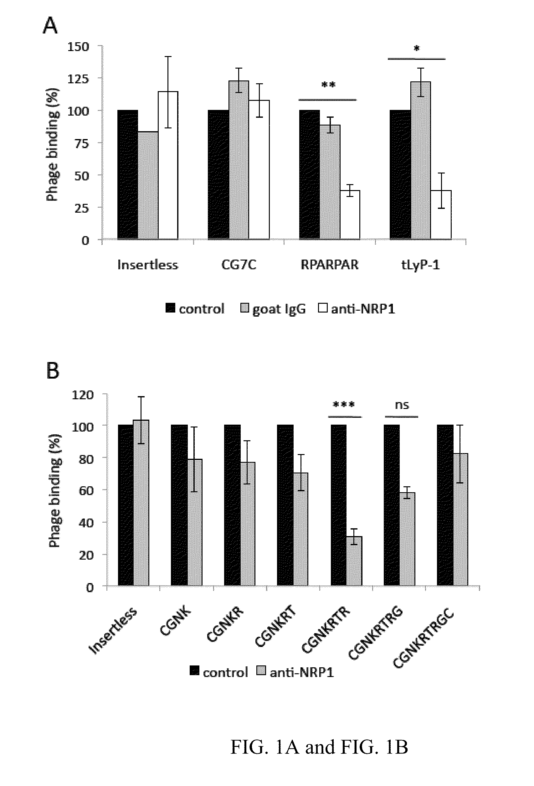 Truncated LYP-1 Peptides and Methods and Compositions Using Truncated LYP-1 Peptides