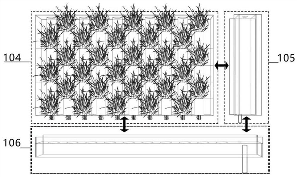 Green wall based on cotton bundle water guiding and water supply method