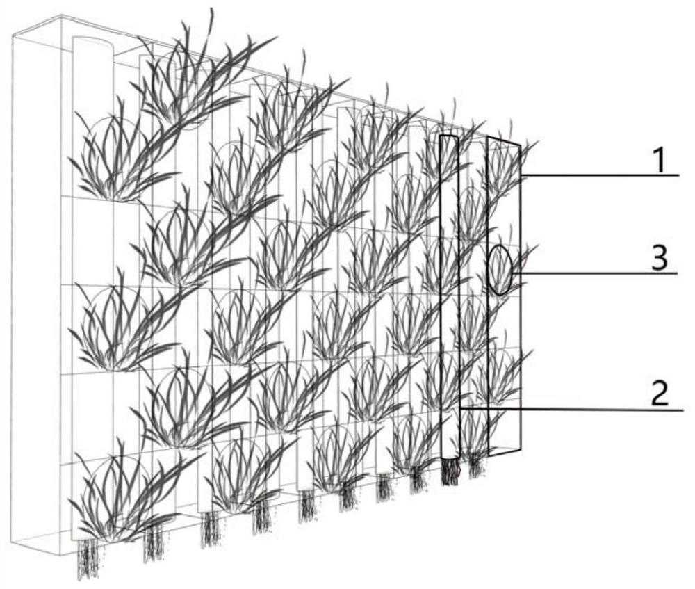 Green wall based on cotton bundle water guiding and water supply method