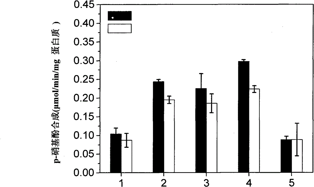 Gene activation titanium and preparation method thereof