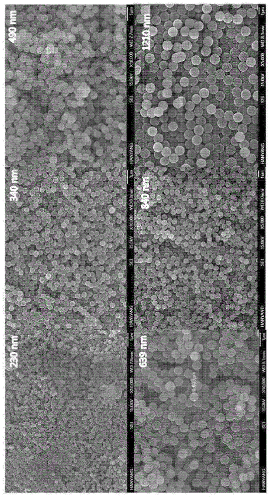 Electrode for lithium secondary battery, lithium secondary battery using same and method for manufacturing same