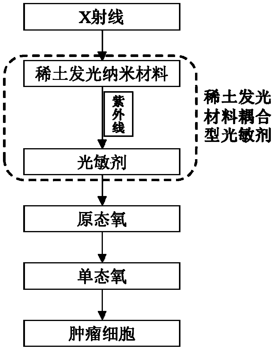 A Deep Tumor Treatment System Combining Photodynamic and Radiation Therapy