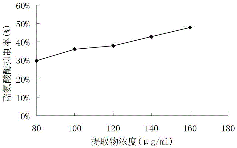 Matsutake extract with anti-aging, moisturizing and penetration-promoting effects, preparation method and application thereof