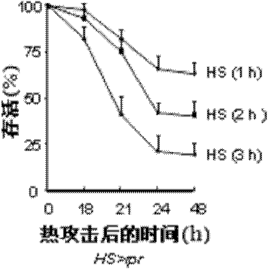 Quinazoline derivative and application of serving as cell apoptosis inhibitor