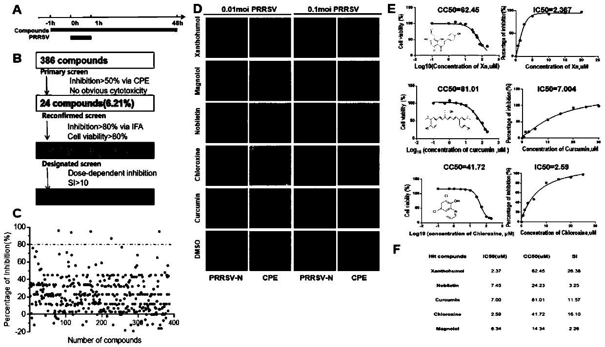 Antagonistic drug against replication of porcine reproductive and respiratory syndrome virus (PRRSV) and application of antagonistic drug