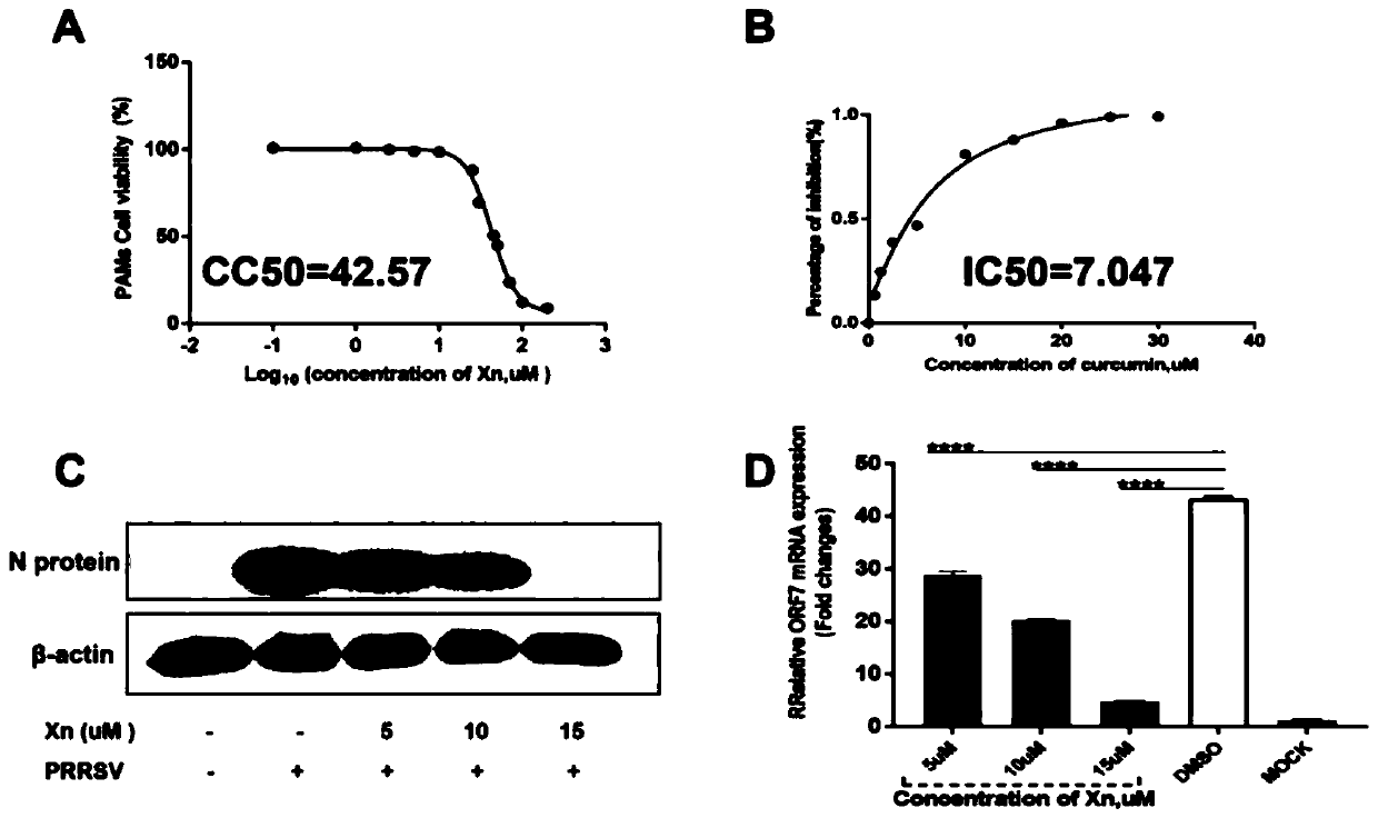 Antagonistic drug against replication of porcine reproductive and respiratory syndrome virus (PRRSV) and application of antagonistic drug