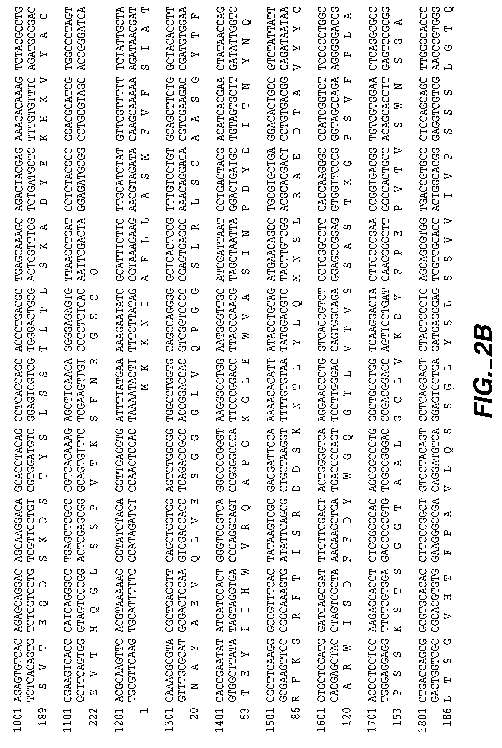 Immunoglobulin variants and uses thereof