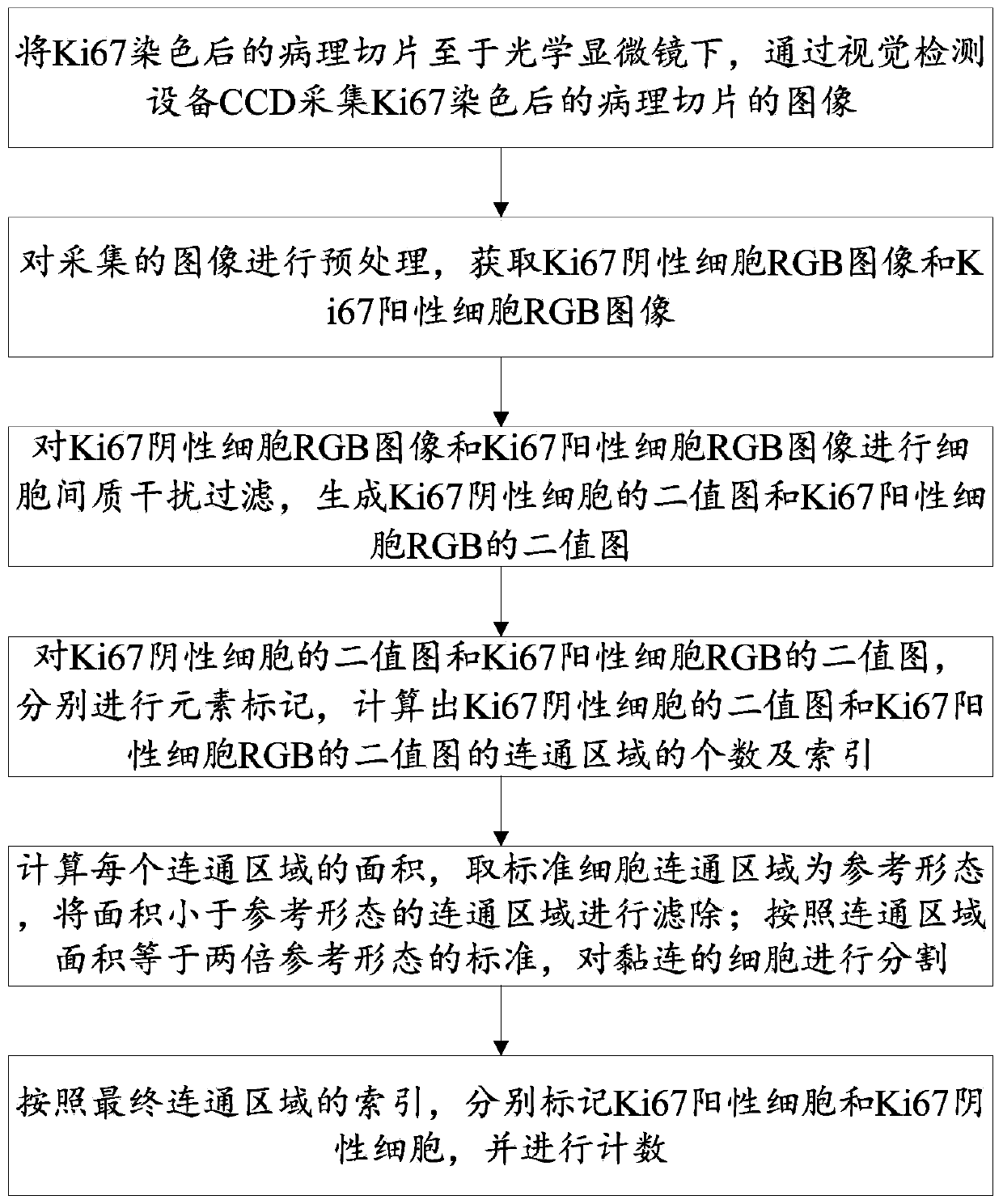 Ki67 cell nucleus counting method and system based on pathological immunohistochemistry