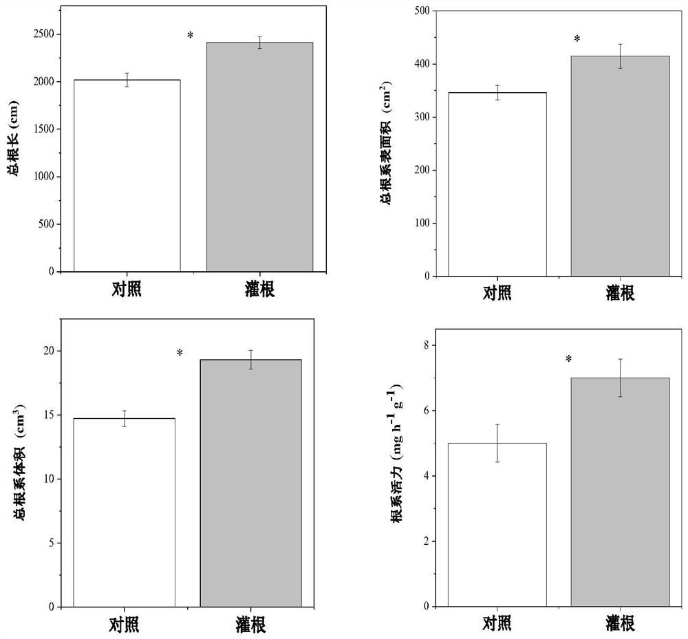 Method for preventing and controlling greenhouse soil continuous cropping obstacles by using endophytic fungus secondary metabolites