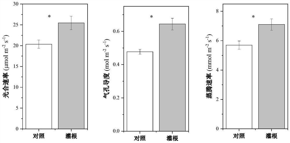 Method for preventing and controlling greenhouse soil continuous cropping obstacles by using endophytic fungus secondary metabolites