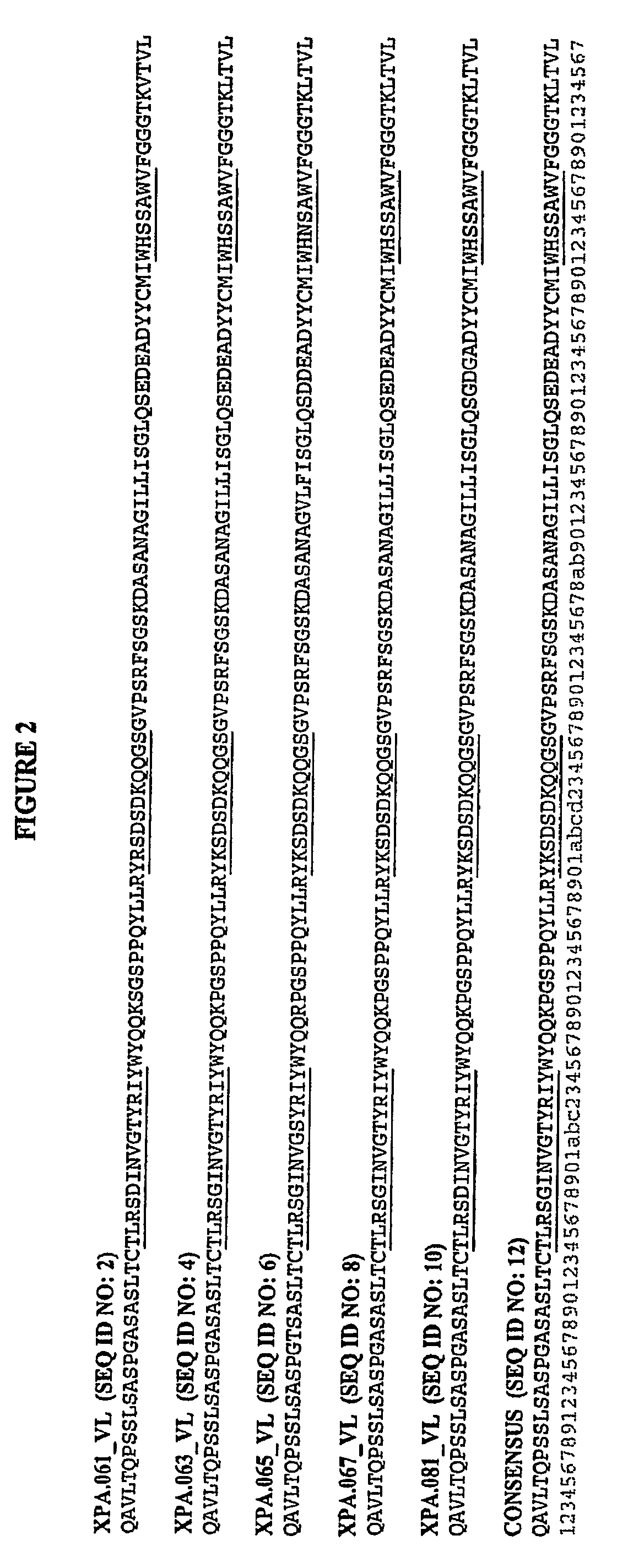 Human antibodies specific for gastrin materials and methods