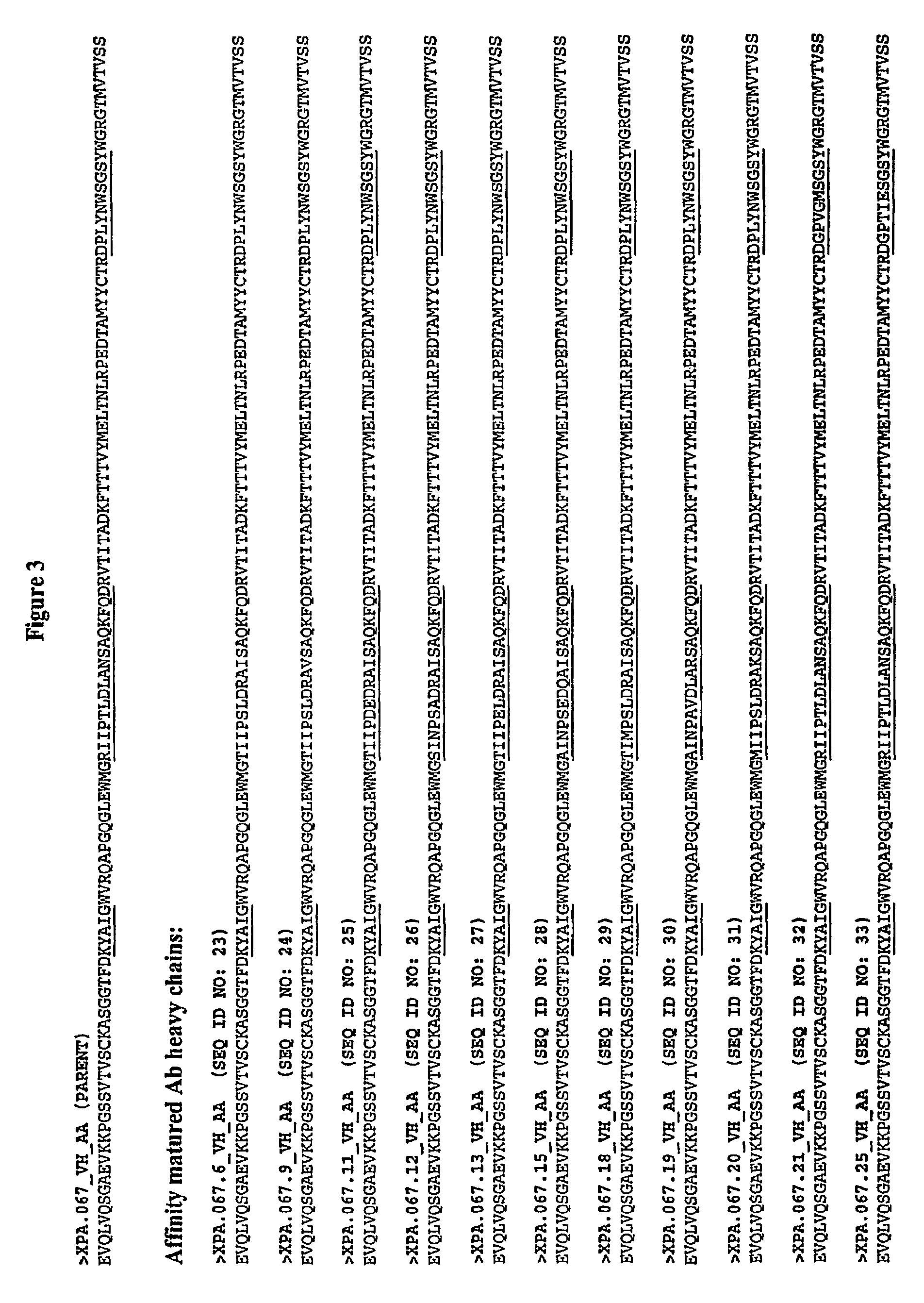 Human antibodies specific for gastrin materials and methods