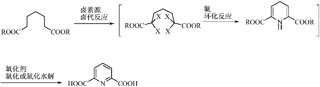 Preparation method of 2,6-pyridinedicarboxylic acid