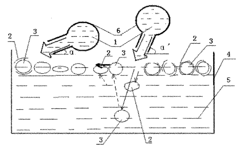 Fruit sleeve separation method