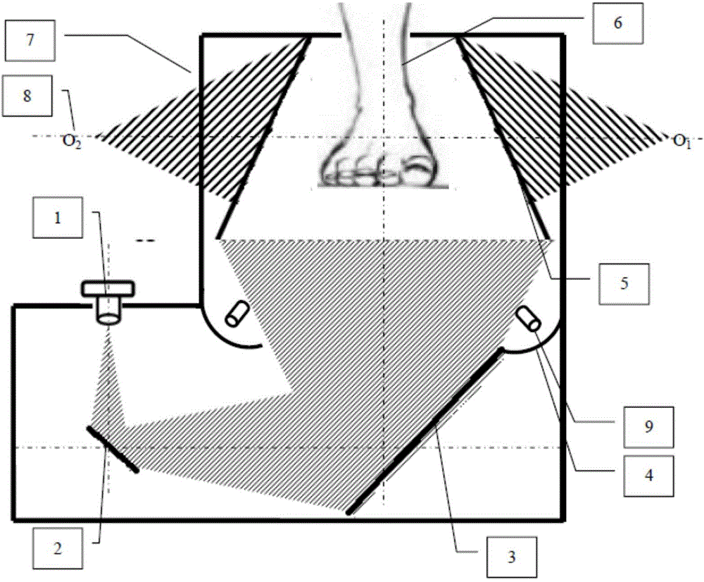 Real-person shoe type copying device and shoe tree manufacturing method based on single-eye multi-angle-of-view robot vision