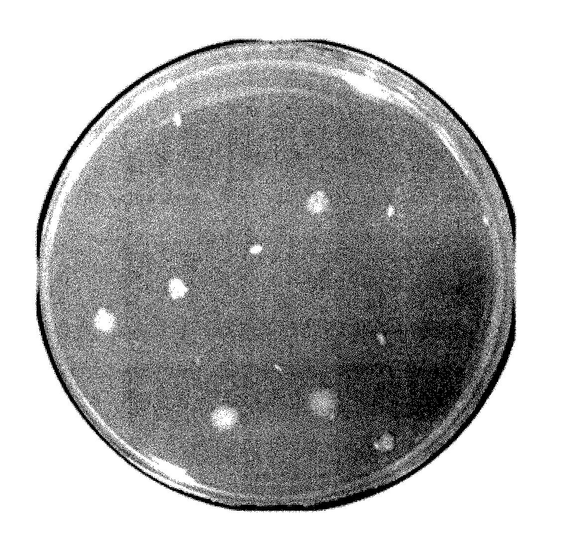 Selection Of Cellulolytic Microbes With High Growth Rates