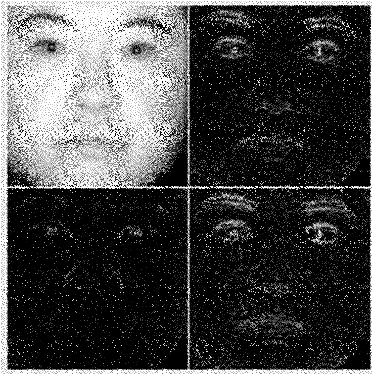 Near infrared human face image identification method based on wavelet theory and sparse representation theory