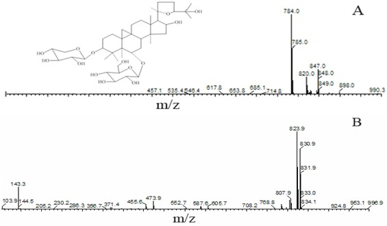 Method for extracting astragaloside IV from astragalus