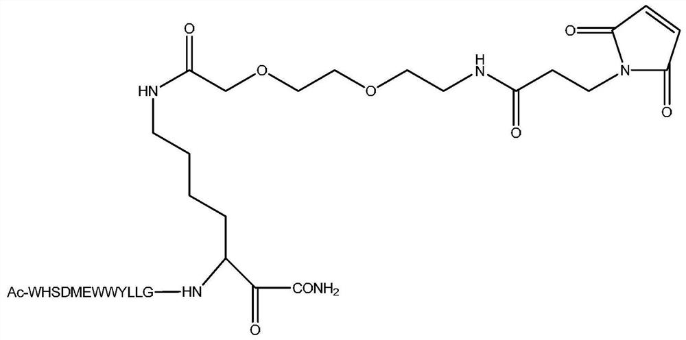 Derivative and Application of Vascular Endothelial Cell Growth Factor Receptor Antagonist Peptide f56