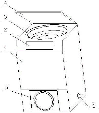 Domestic shoe washer