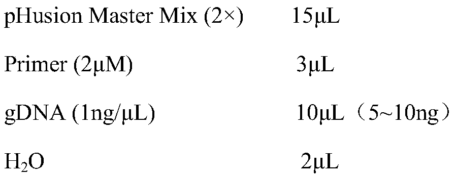 Tobacco planting soil micro-ecological environment determination method