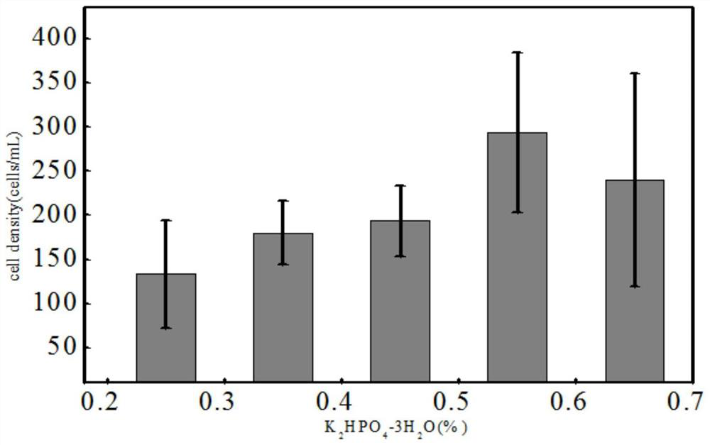 A kind of pure culture system of acanthus duckweed and its preparation method and culture method