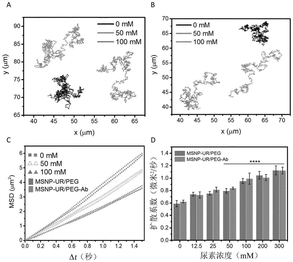 Functionalized enzyme-powered nanomotors