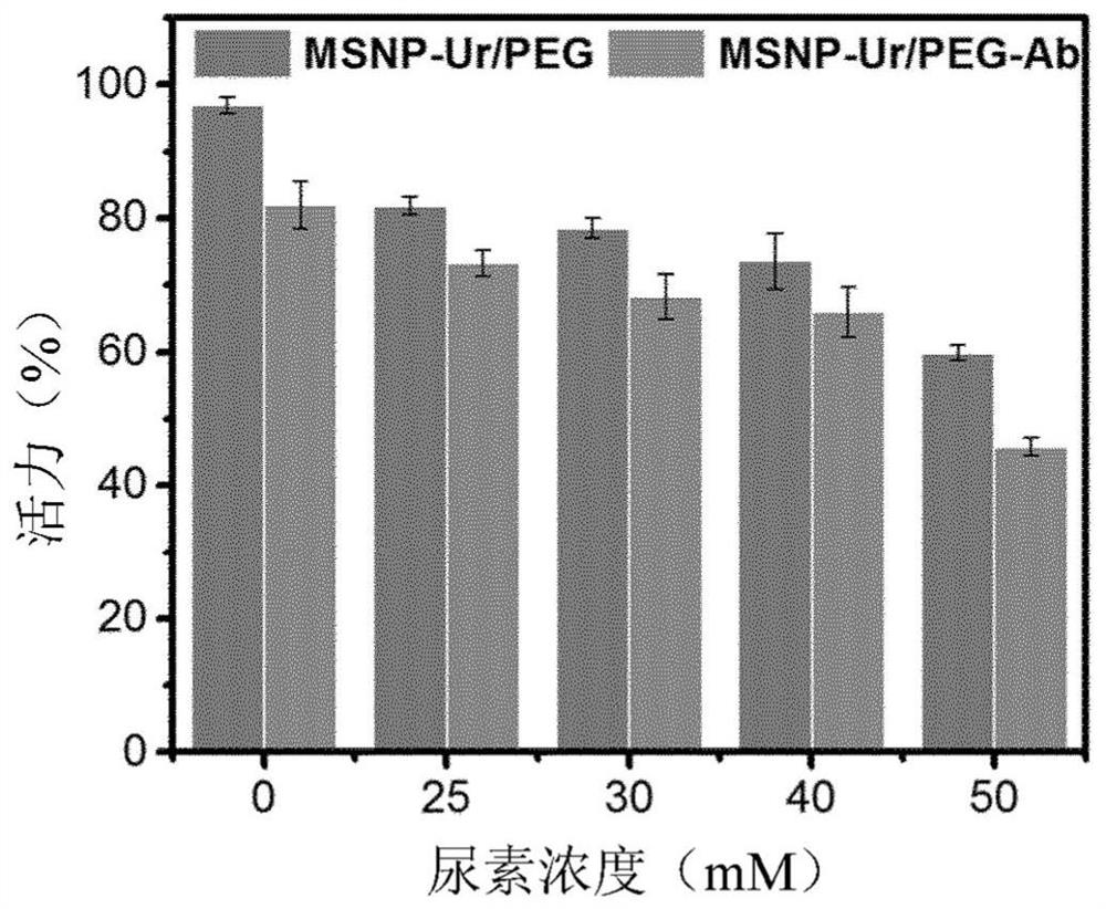 Functionalized enzyme-powered nanomotors